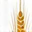 Gluten-Free Gluten-free icon